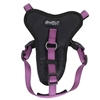 Picture of CLASSIC VIOLET DOOGY HARNESS